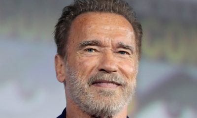 Arnold Schwarzenegger Vermögen