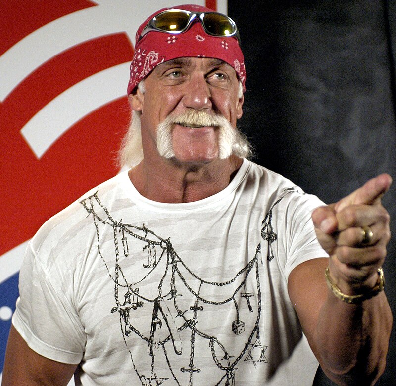 Hulk Hogan vermögen