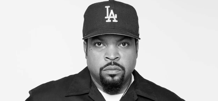Ice Cube vermögen