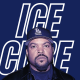 Ice Cube Vermögen